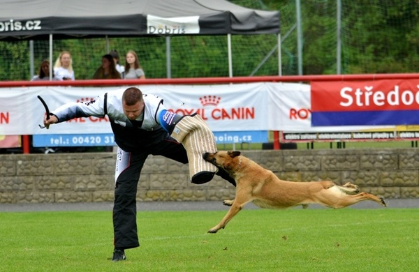 This image has an empty alt attribute; its file name is cacit_obr.jpg